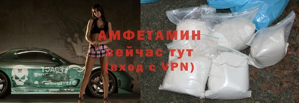соль ск Тайга