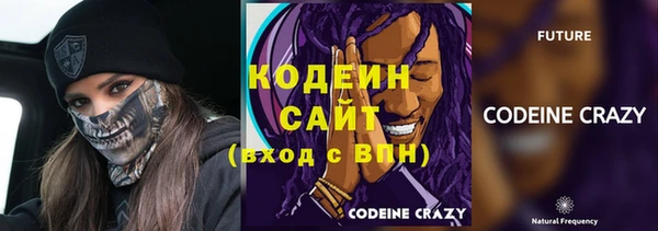 соль ск Тайга