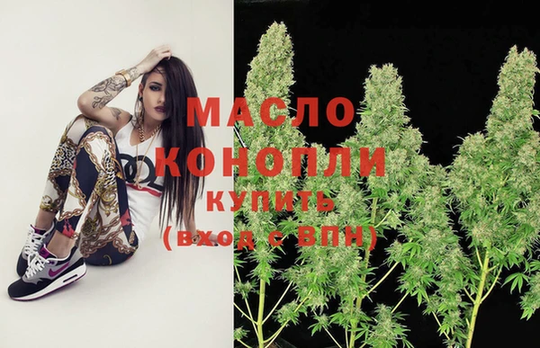соль ск Тайга
