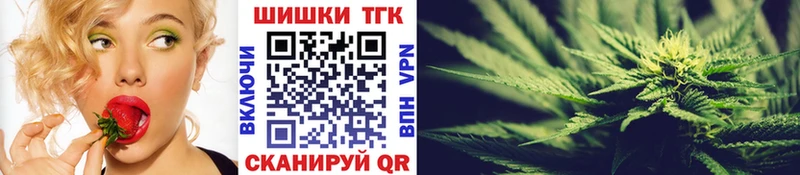 Бошки Шишки ГИДРОПОН  что такое наркотик  Касимов 
